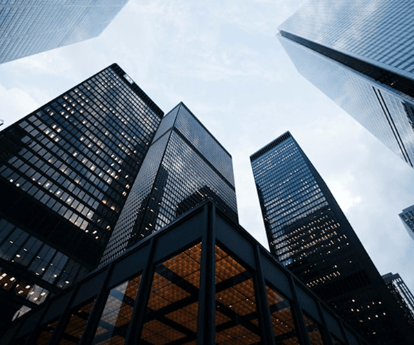 Healthcare Services Company